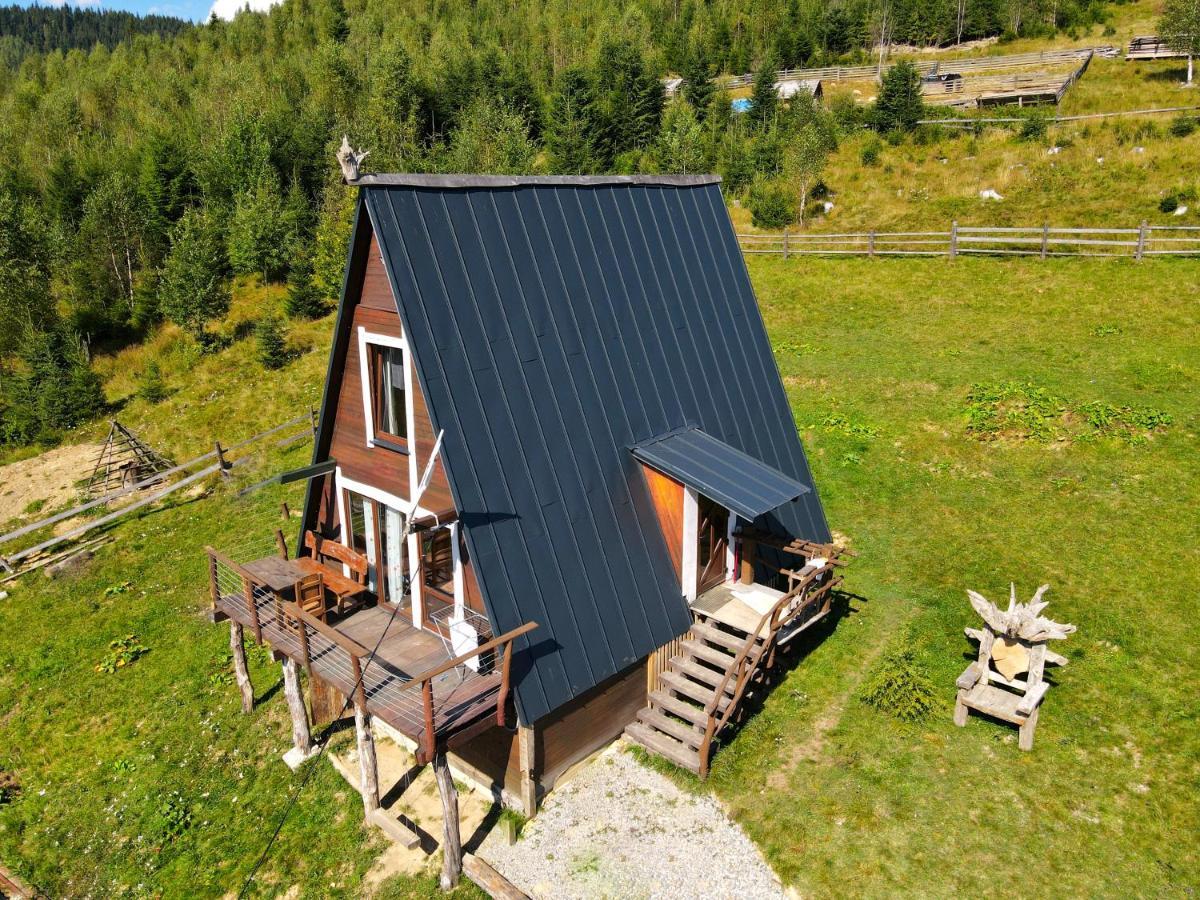 Oak House Palyanytsya
