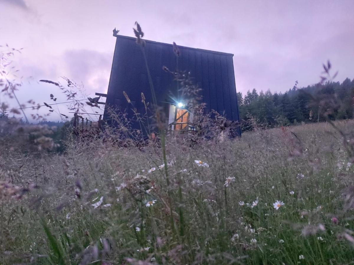 Oak House Palyanytsya