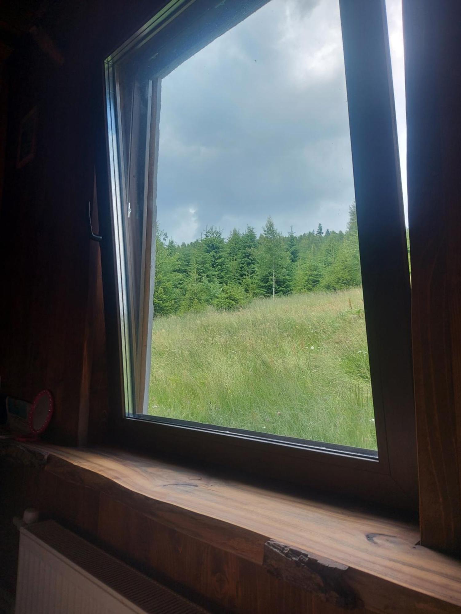 Apartment Oak House Palyanytsya